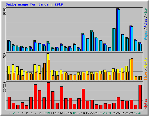 Daily usage for January 2010