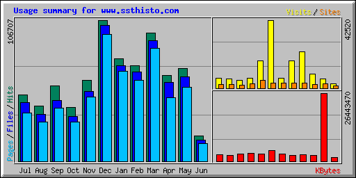Usage summary for www.ssthisto.com